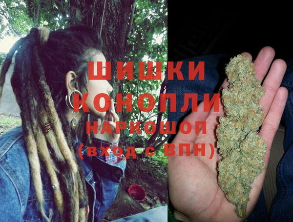 стафф Волоколамск