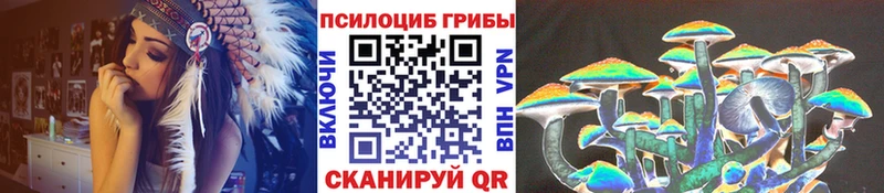 Псилоцибиновые грибы мицелий  Купить  Пестово 