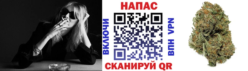 Купить где  Пестово  Каннабис SATIVA & INDICA 